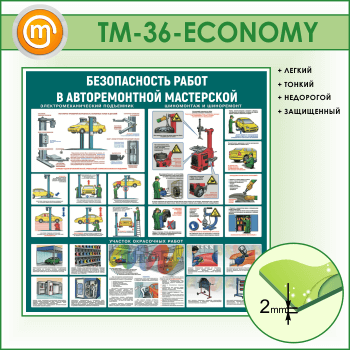 ����� ������������� ����� � ������������� ���������� (TM-36-ECONOMY)