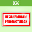 ���� ��� ���������! �������� ����, B36 (������, 200�100 ��)